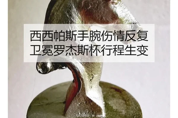 西西帕斯手腕伤情反复 卫冕罗杰斯杯行程生变